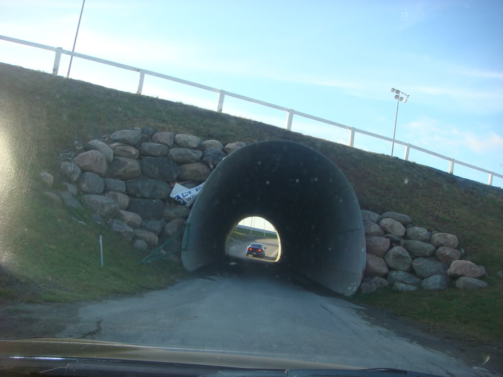 Name:  DSC06794.jpg
Views: 45
Size:  90.1 KB