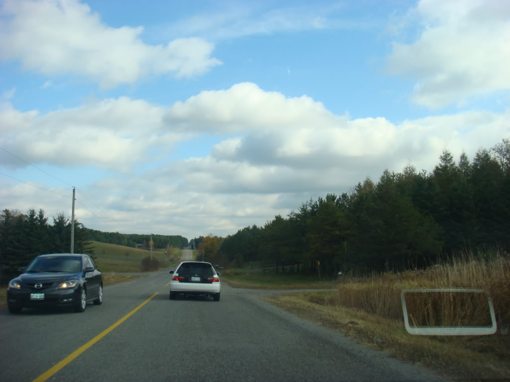 Name:  DSC06706.jpg
Views: 47
Size:  85.1 KB