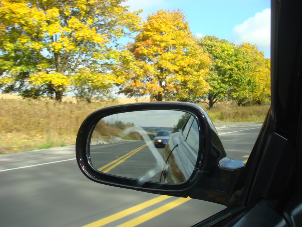 Name:  DSC06709.jpg
Views: 47
Size:  158.7 KB