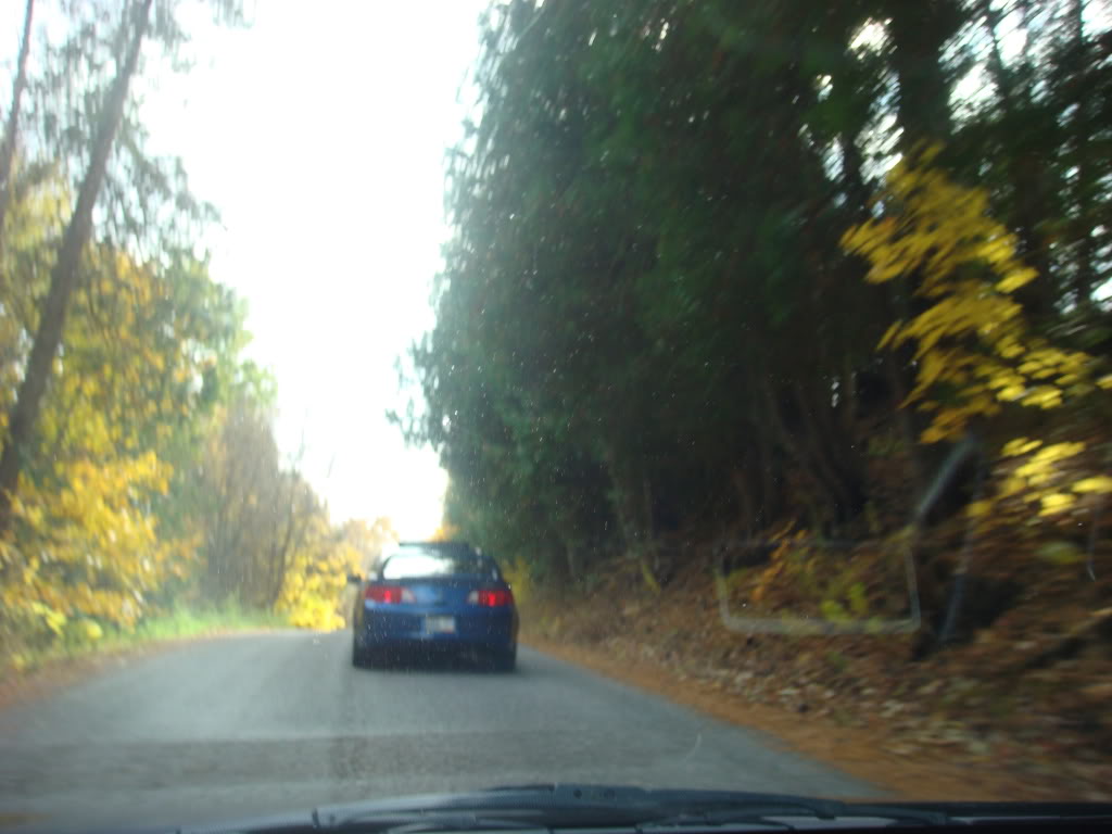 Name:  DSC06713.jpg
Views: 44
Size:  101.1 KB