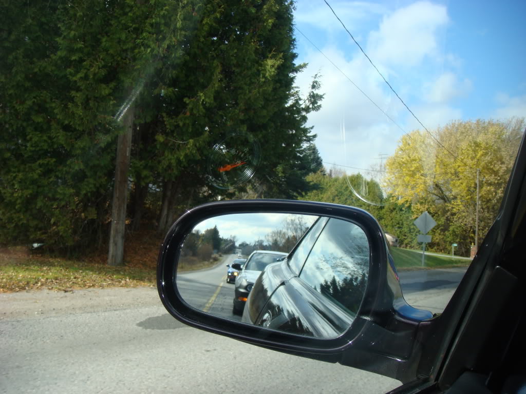 Name:  DSC06720.jpg
Views: 48
Size:  146.4 KB