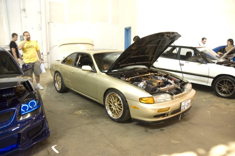 Name:  _DSC1876.jpg
Views: 15
Size:  79.9 KB