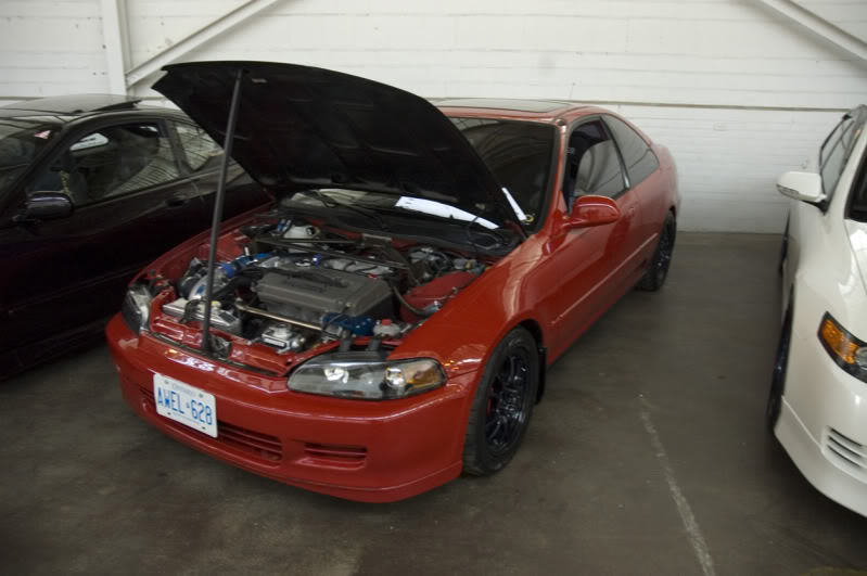 Name:  _DSC1900.jpg
Views: 9
Size:  64.1 KB