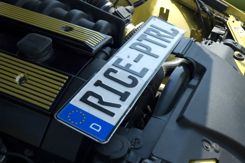 Name:  _DSC1739.jpg
Views: 12
Size:  86.8 KB