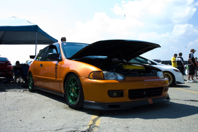 Name:  _DSC1653.jpg
Views: 18
Size:  83.0 KB