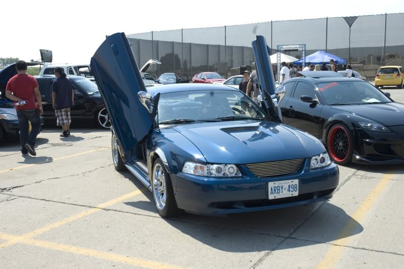 Name:  _DSC1695.jpg
Views: 14
Size:  91.8 KB