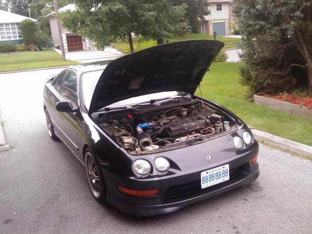 Name:  teggy1-1.jpg
Views: 76
Size:  80.6 KB