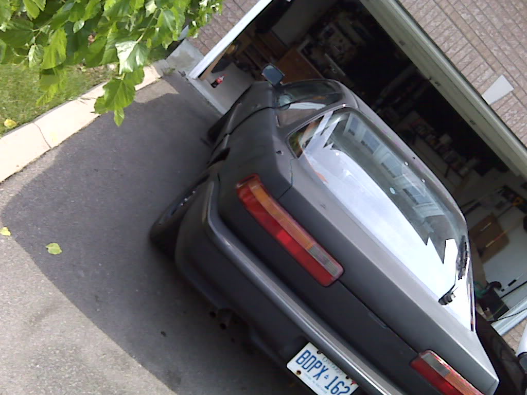 Name:  IMG00290.jpg
Views: 12
Size:  115.9 KB