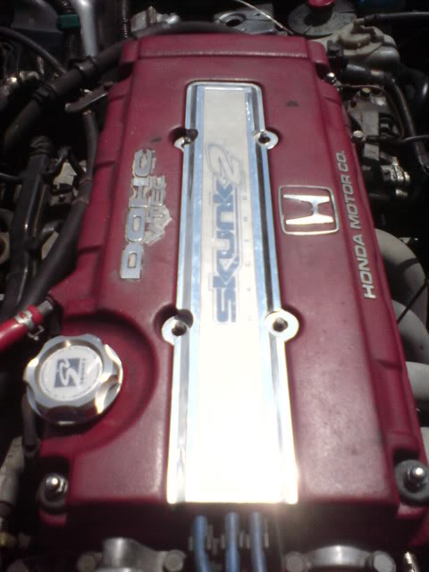 Name: DSC00031.jpg
Views: 140
Size: 43.7 KB