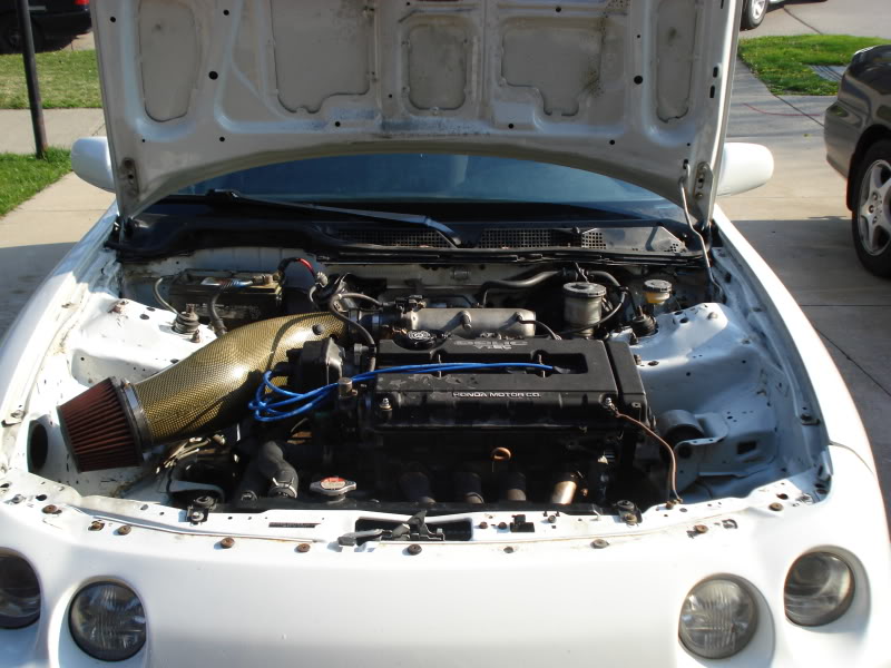 Name:  DSC00656.jpg
Views: 15
Size:  88.2 KB