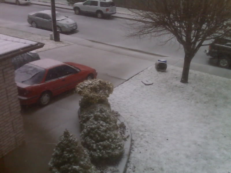 Name:  IMG00065.jpg
Views: 19
Size:  47.2 KB