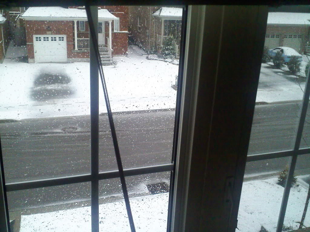 Name:  0406091058.jpg
Views: 21
Size:  157.5 KB