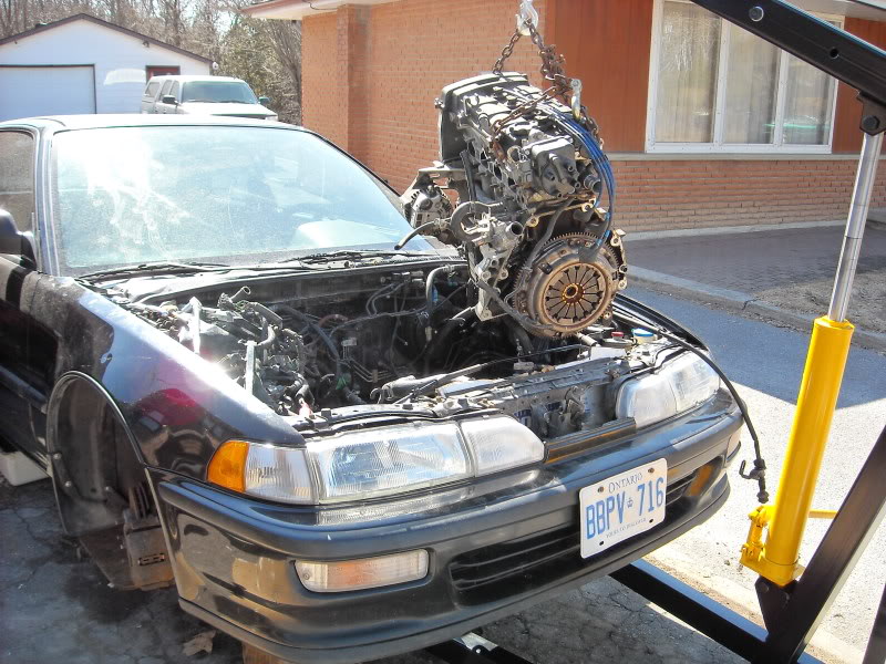 Name: nocarpet_09.jpg
Views: 17
Size: 125.2 KB