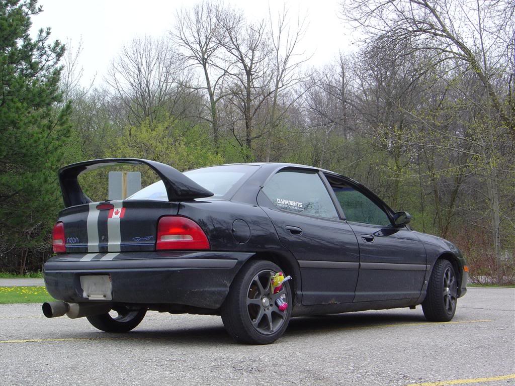 Name: reiceneon.jpg
Views: 33
Size: 162.2 KB