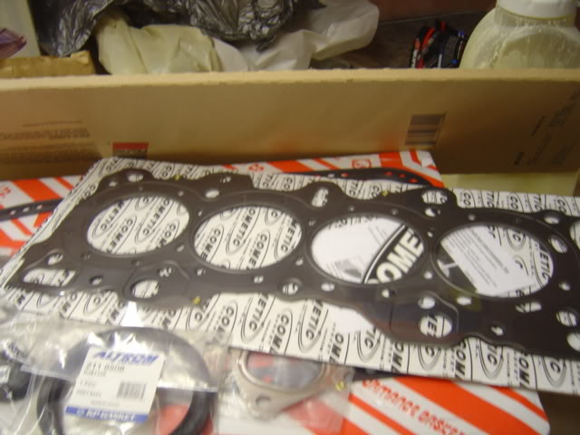 Name:  DSC03251.jpg
Views: 13
Size:  53.0 KB