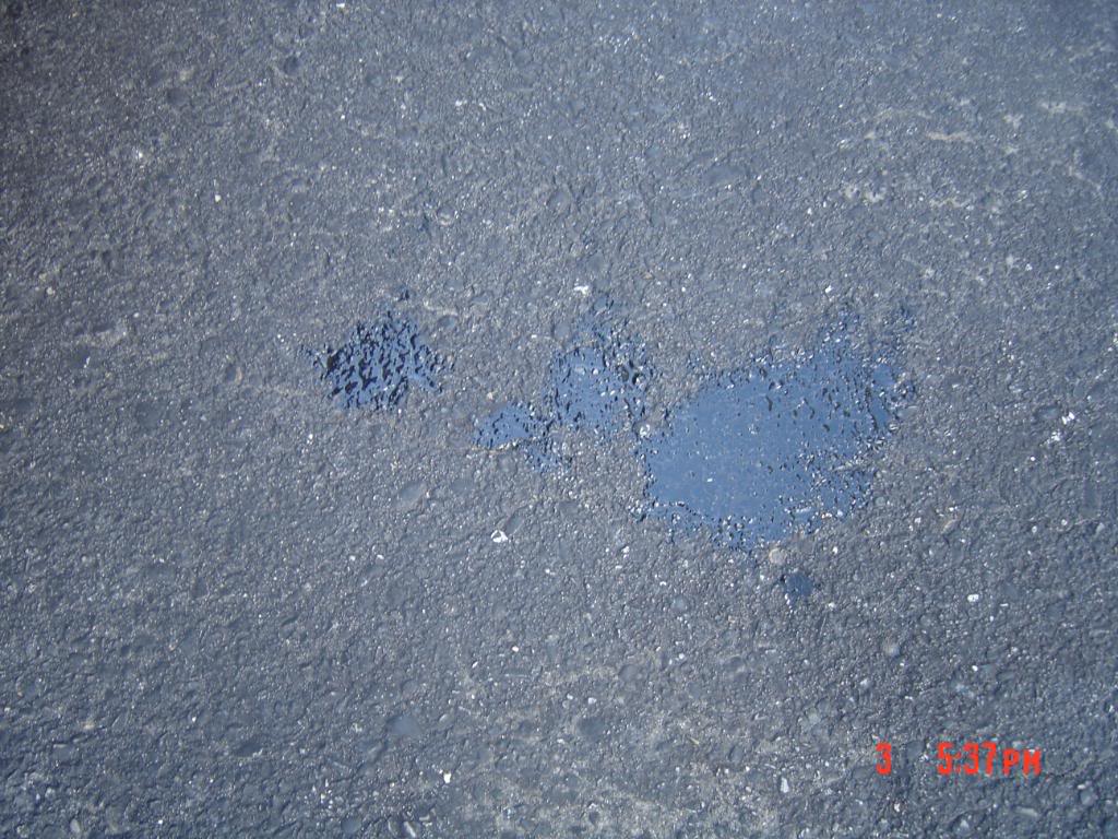 Name:  civicout008.jpg
Views: 21
Size:  170.6 KB