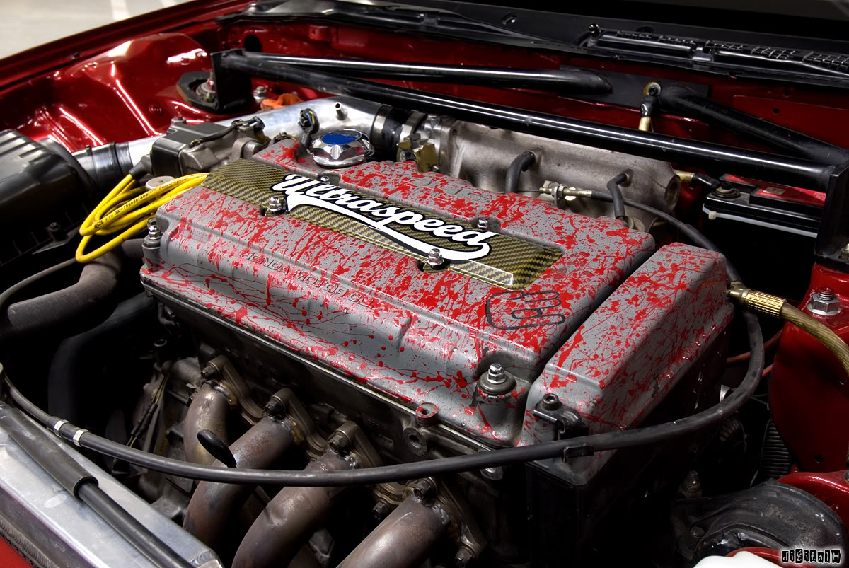 Name:  _DSC9179a.jpg
Views: 14
Size:  242.0 KB