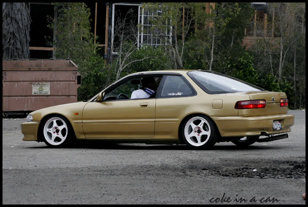 Name:  koreanbbqmeet055copy.jpg
Views: 51
Size:  78.0 KB