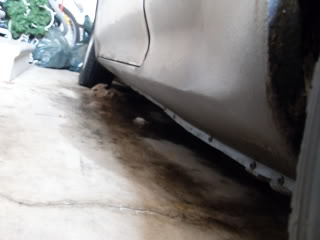 Name:  SDC10200.jpg
Views: 12
Size:  36.8 KB