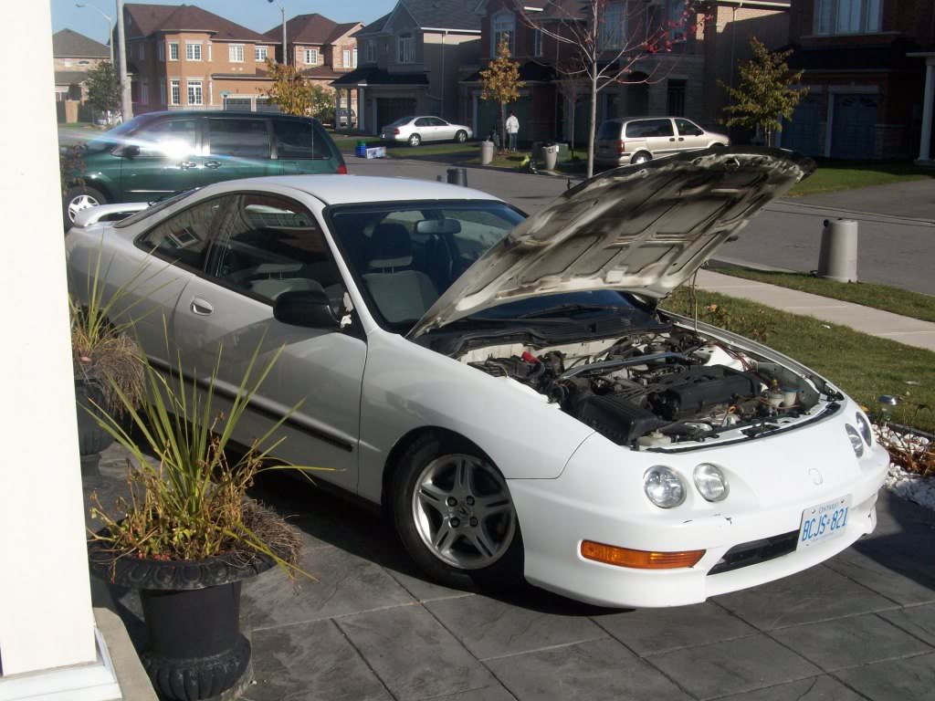 Name:  100_0138-1.jpg
Views: 16
Size:  147.4 KB