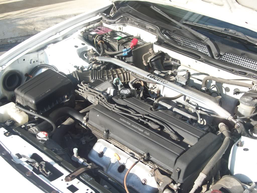 Name:  100_0141-1.jpg
Views: 12
Size:  168.4 KB