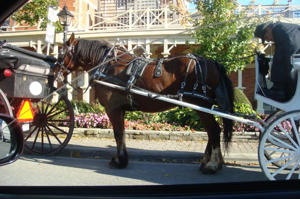 Name:  DSC02264.jpg
Views: 19
Size:  161.4 KB