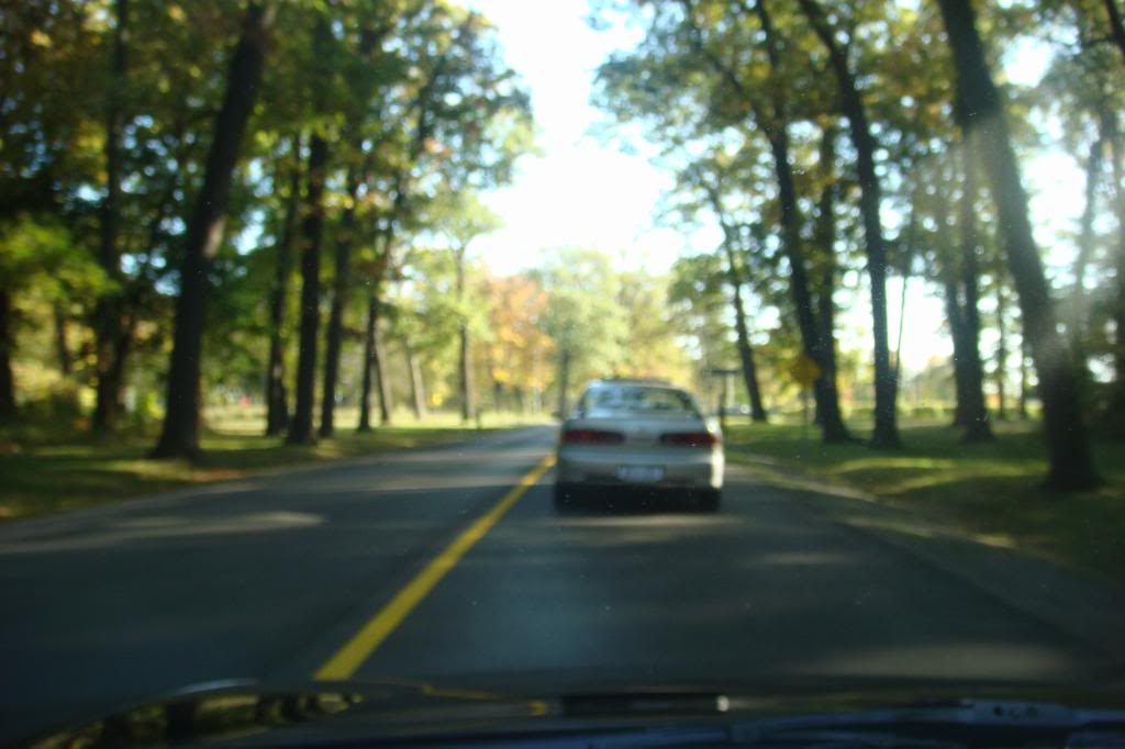 Name:  DSC02266.jpg
Views: 17
Size:  78.3 KB