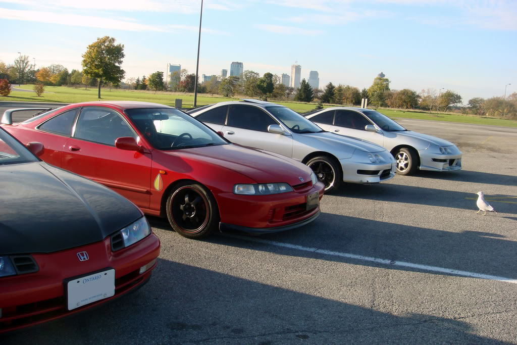 Name:  DSC02281.jpg
Views: 18
Size:  160.9 KB