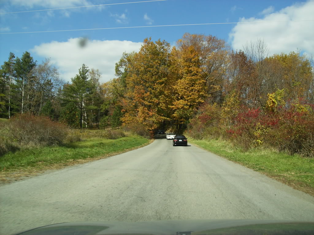 Name:  c63dd512.jpg
Views: 10
Size:  212.7 KB