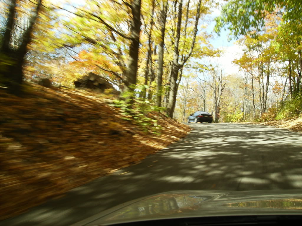 Name:  6ecc6763.jpg
Views: 10
Size:  229.4 KB