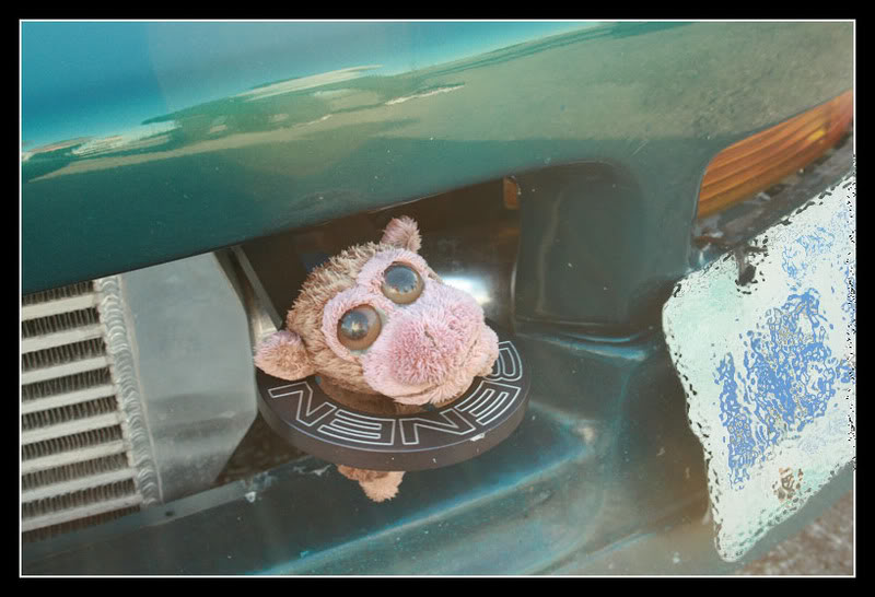 Name:  378a.jpg
Views: 14
Size:  76.4 KB