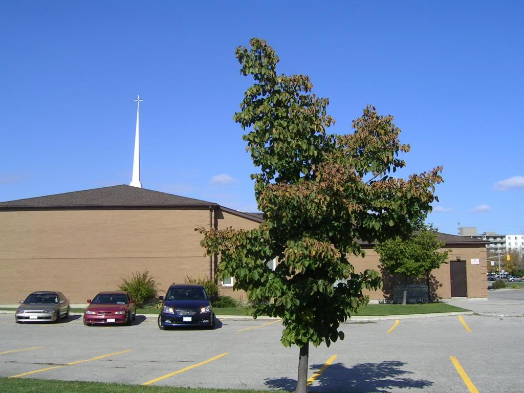 Name:  RayzorImagePhotoshoot007.jpg
Views: 25
Size:  101.6 KB