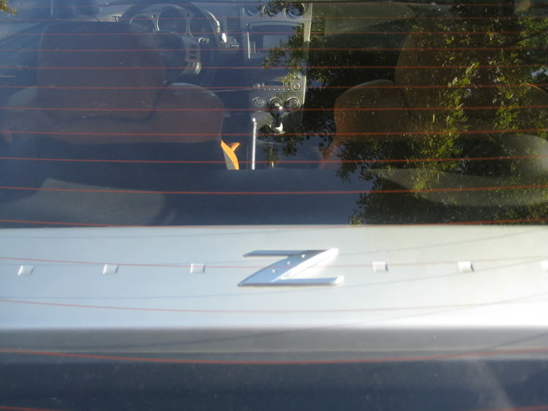 Name: IMG_4229.jpg
Views: 17
Size: 54.5 KB