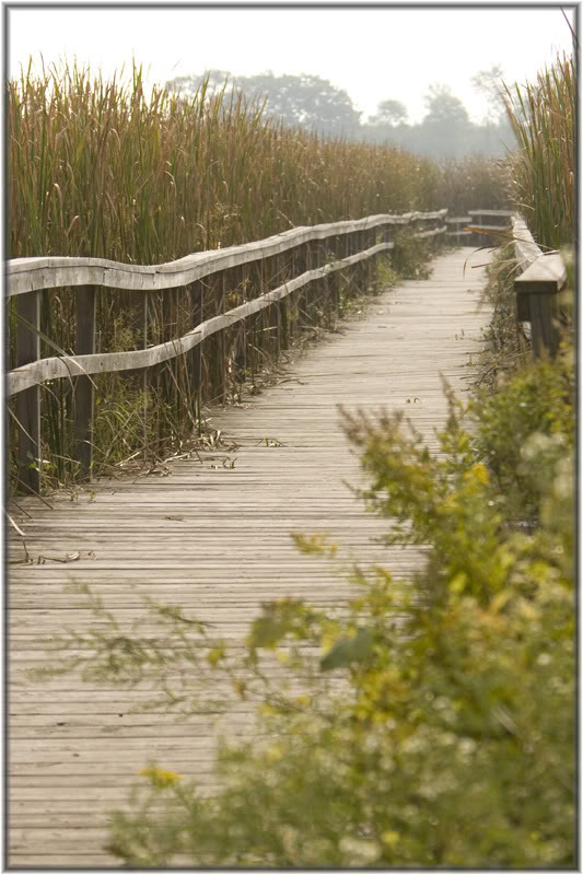 Name:  IMG_9897.jpg
Views: 18
Size:  97.1 KB