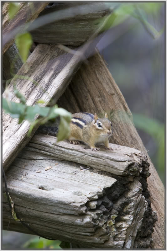 Name:  IMG_9883.jpg
Views: 20
Size:  89.2 KB