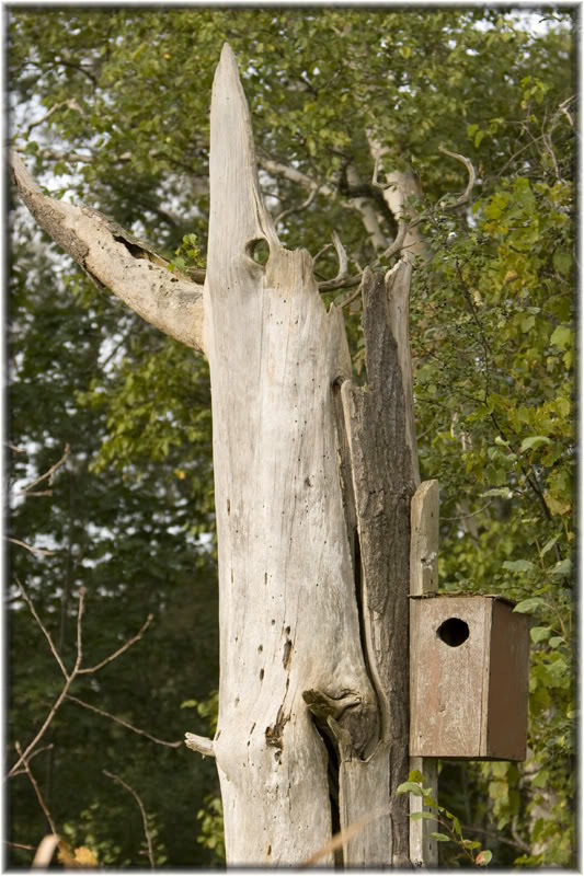 Name:  IMG_9899.jpg
Views: 19
Size:  120.8 KB