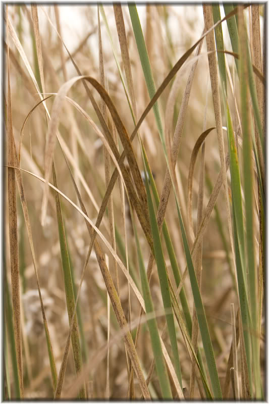 Name:  IMG_9906.jpg
Views: 19
Size:  81.5 KB