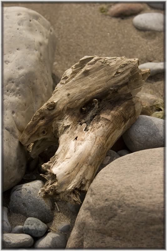 Name:  IMG_9943.jpg
Views: 19
Size:  87.6 KB