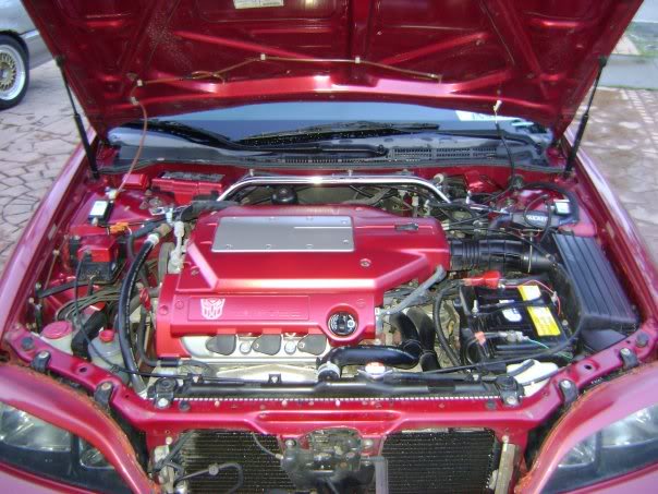 Name:  n505650829_1189330_8830.jpg
Views: 52
Size:  64.1 KB