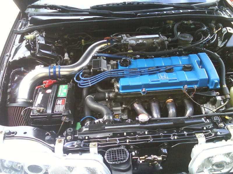 Name: DSC00494.jpg
Views: 53
Size: 113.8 KB