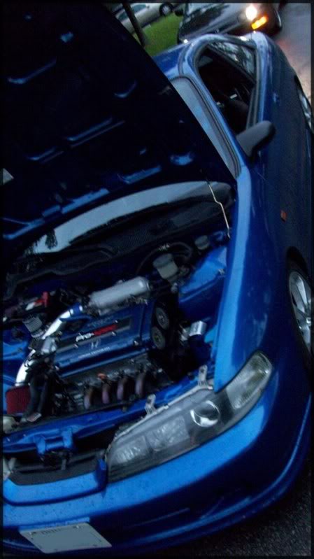 Name:  100_0814.jpg
Views: 14
Size:  46.3 KB