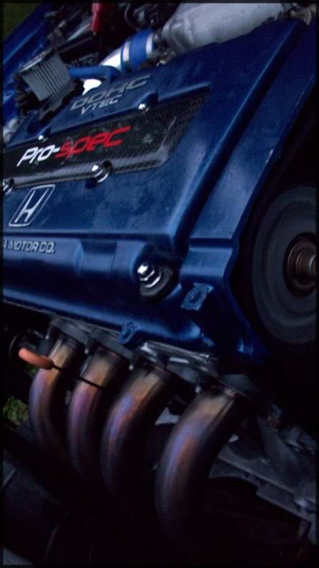 Name:  100_0817.jpg
Views: 15
Size:  40.6 KB