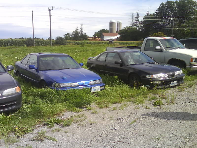 Name:  DSC00505.jpg
Views: 12
Size:  127.5 KB