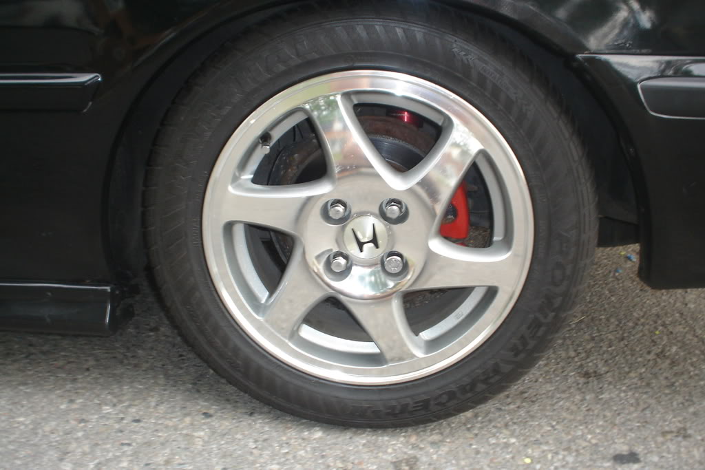 Name:  ravispics015.jpg
Views: 15
Size:  87.5 KB