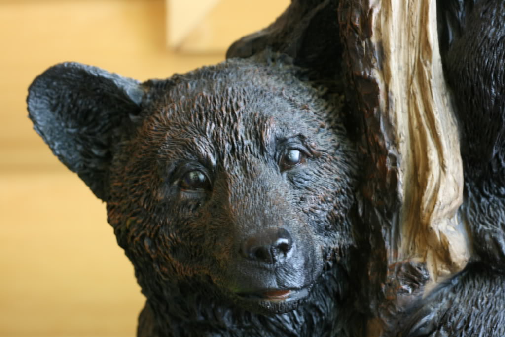 Name:  IMG_2895.jpg
Views: 17
Size:  103.8 KB