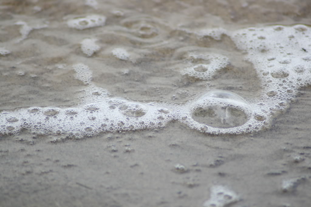 Name:  IMG_2960.jpg
Views: 16
Size:  88.3 KB