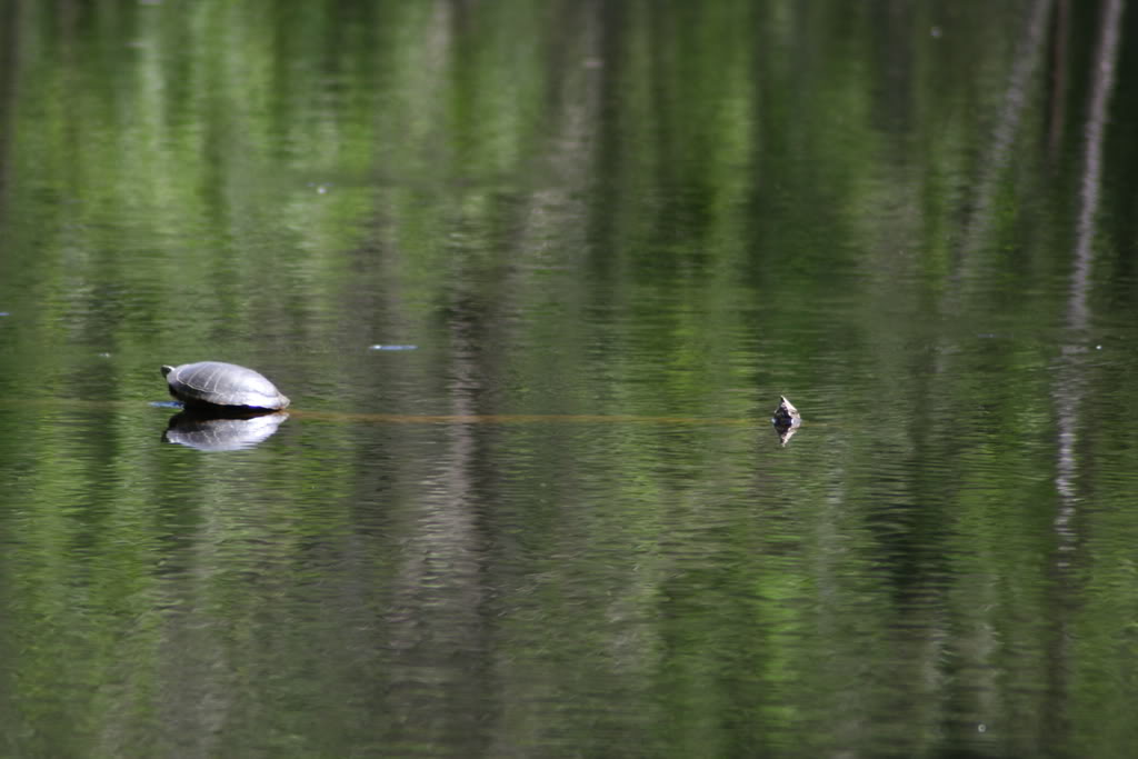 Name:  IMG_2988.jpg
Views: 17
Size:  79.7 KB