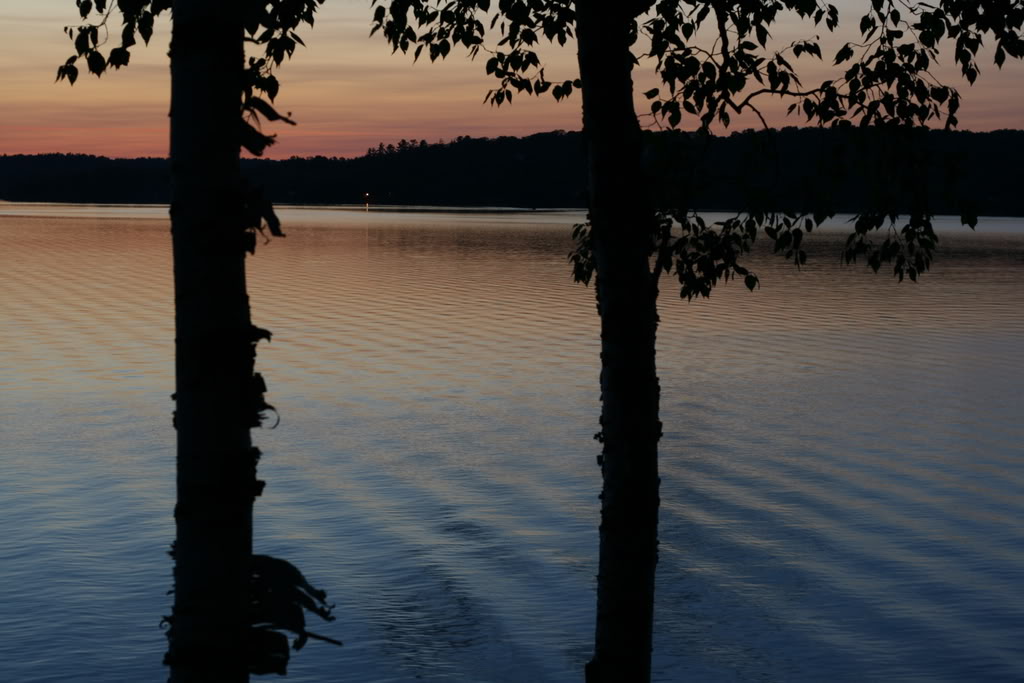 Name:  IMG_3138.jpg
Views: 15
Size:  100.2 KB