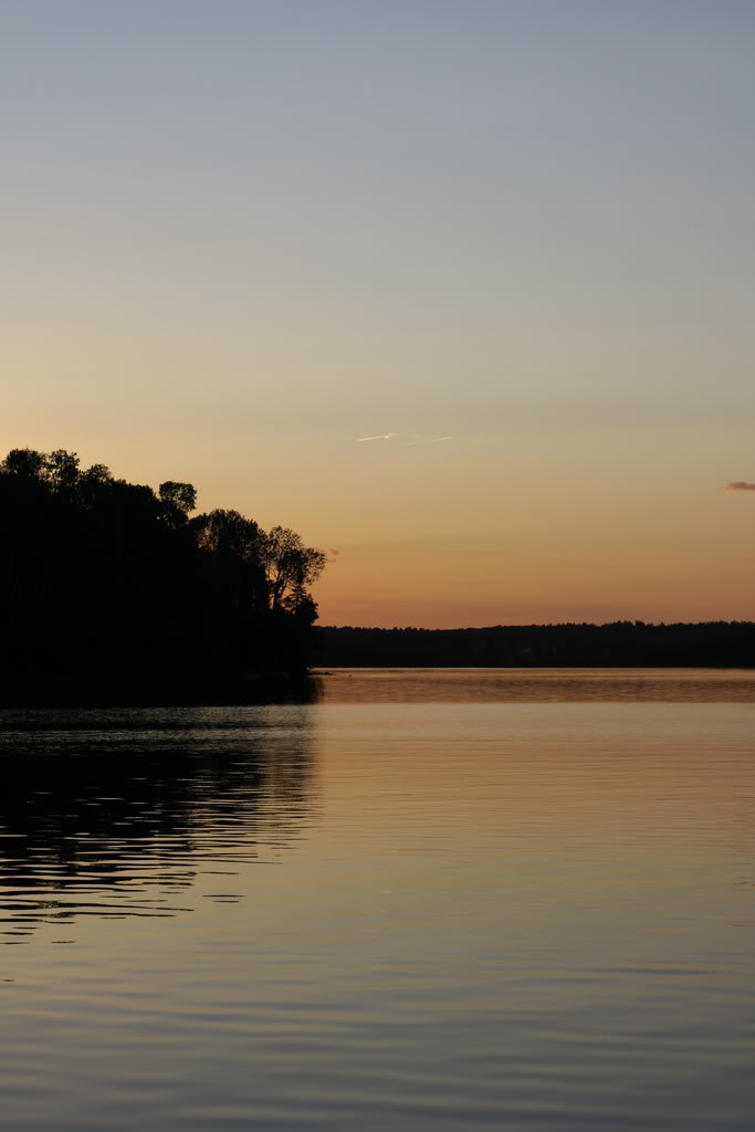 Name:  IMG_3056.jpg
Views: 14
Size:  44.0 KB