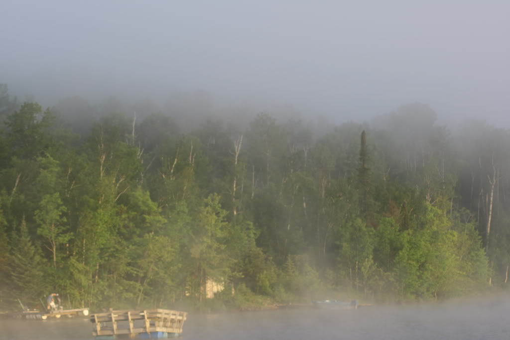 Name:  IMG_3243.jpg
Views: 13
Size:  54.3 KB